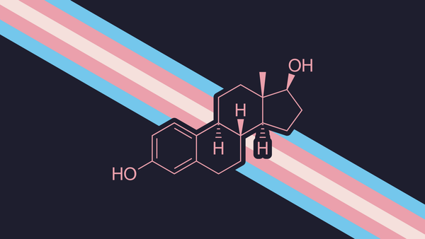 Sharkey: An Overview of Its Design, Interface, and User Experience